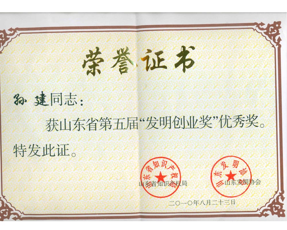 孫建山東省發(fā)明創(chuàng)業(yè)獎(jiǎng)證書(shū).jpg